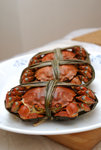 Hairy Crabs @Home 2009 #005