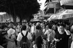 SDIM0103