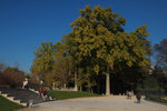 Day 1 Paris #033