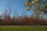 Day 1 Paris #035