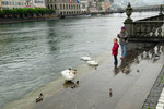 Day 8 #015 Europe 2010