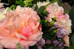 Flowers #002
