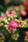 DP3M0420