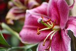 DP3M0463