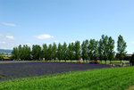Hokkaido 2007 #064