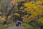 Japan 2010 D5 #028