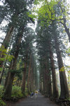 Japan 2010 D5 #035