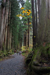 Japan 2010 D5 #046