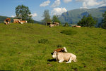 Europe 2008 #222