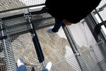 Europe 2008 #234