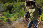 Kadoorie Farm #004