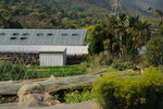 Kadoorie Farm #007