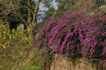 Kadoorie Farm #012