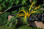 Kadoorie Farm #021