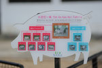 Kadoorie Farm #032