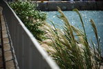 2009-09-23 Wanchai #009