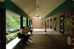 Kowloon Park #002
