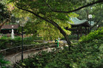 Kowloon Park #005