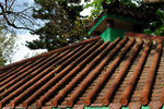Kowloon Park #013