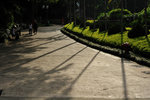 Kowloon Park #015
