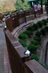 Kowloon Park #016