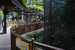 Kowloon Park #017