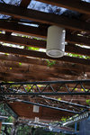 Kowloon Park #018
