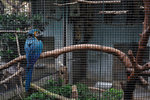 Kowloon Park #021