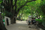 Kowloon Park #025