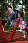 Kowloon Park #029