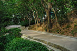 Kowloon Park #030
