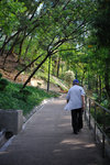 Kowloon Park #031