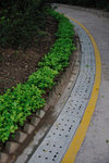 Kowloon Park #034