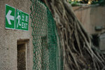 Kowloon Park #036