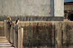 DSCF0908