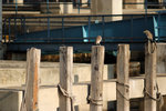 DSCF0919