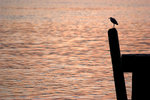DSCF1085