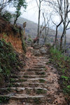Longji Terrace #012