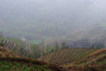 Longji Terrace #013