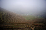 Longji Terrace #018