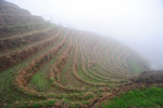 Longji Terrace #023
