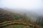 Longji Terrace #028