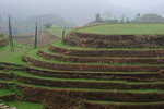 Longji Terrace #035