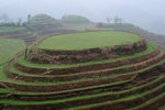 Longji Terrace #037