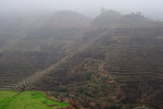 Longji Terrace #040