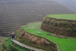 Longji Terrace #047