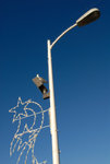 Los Angeles 2009 #058