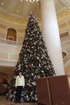 DSCF0321