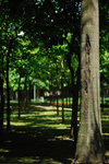 North Point #010