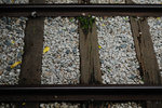 Railway Museum #021